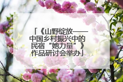 《山野绽放——中国乡村振兴中的民宿“她力量”》作品研讨会举办