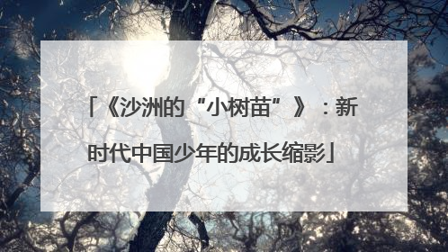《沙洲的“小树苗”》：新时代中国少年的成长缩影
