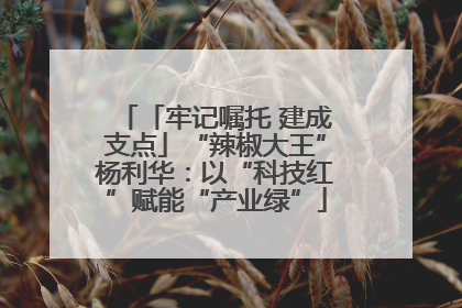 「牢记嘱托 建成支点」“辣椒大王”杨利华：以“科技红”赋能“产业绿”