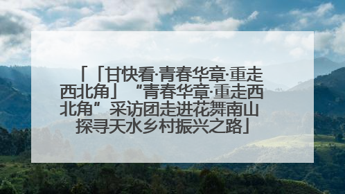 「甘快看·青春华章·重走西北角」“青春华章·重走西北角”采访团走进花舞南山 探寻天水乡村振兴之路
