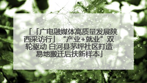 「广电融媒体高质量发展陕西采访行」“产业+就业”双轮驱动 白河县茅坪社区打造易地搬迁后扶新样本