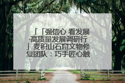 「强信心 看发展·高质量发展调研行」麦积山石窟文物修复团队：巧手匠心触摸“光阴的故事”