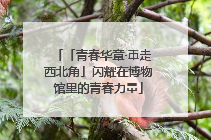 「青春华章·重走西北角」闪耀在博物馆里的青春力量
