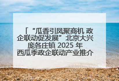 “瓜香引凤聚商机 政企联动促发展”北京大兴庞各庄镇 2025 年西瓜季政企联动产业推介活动圆满举行