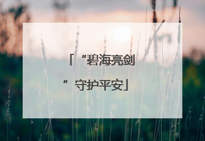 “碧海亮剑”守护平安