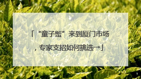 “童子蟹”来到厦门市场，专家支招如何挑选→