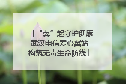 “翼”起守护健康 武汉电信爱心翼站构筑无毒生命防线