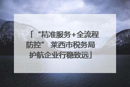 “精准服务+全流程防控” 莱西市税务局护航企业行稳致远