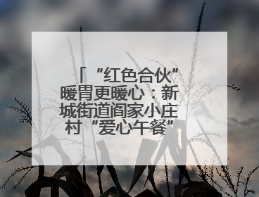 “红色合伙”暖胃更暖心：新城街道阎家小庄村“爱心午餐”情满乡村