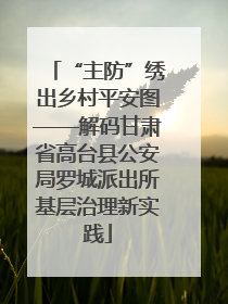 “主防”绣出乡村平安图——解码甘肃省高台县公安局罗城派出所基层治理新实践