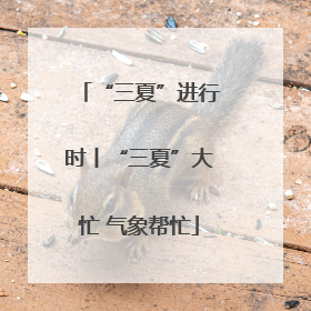 “三夏”进行时丨“三夏”大忙 气象帮忙