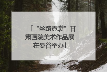 “丝路霓裳”甘肃画院美术作品展在曼谷举办