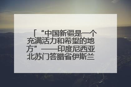 “中国新疆是一个充满活力和希望的地方”——印度尼西亚北苏门答腊省伊斯兰教代表团参访新疆