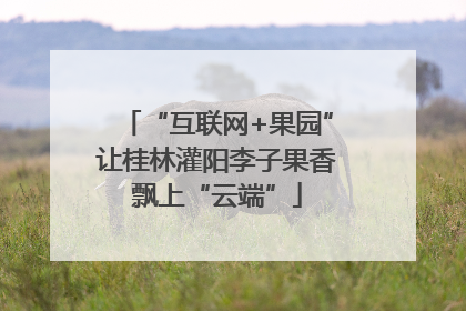 “互联网+果园”让桂林灌阳李子果香飘上“云端”
