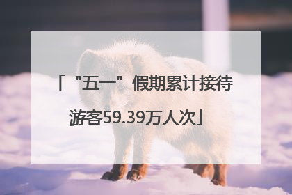 “五一”假期累计接待游客59.39万人次