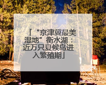 “京津冀最美湿地”衡水湖：近万只夏候鸟进入繁殖期