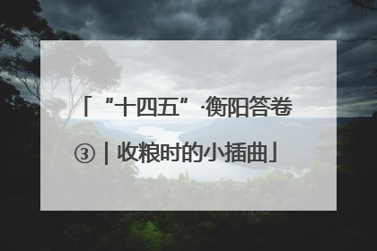 “十四五”·衡阳答卷③｜收粮时的小插曲