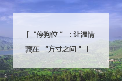“停狗位 ”：让温情藏在 “方寸之间 ”