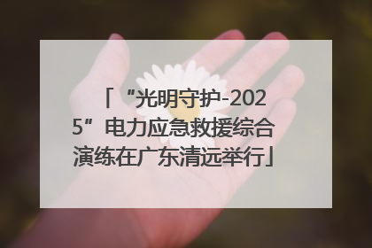 “光明守护-2025”电力应急救援综合演练在广东清远举行