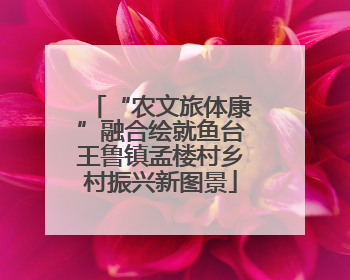 “农文旅体康”融合绘就鱼台王鲁镇孟楼村乡村振兴新图景