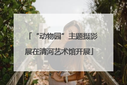 “动物园”主题摄影展在清河艺术馆开展