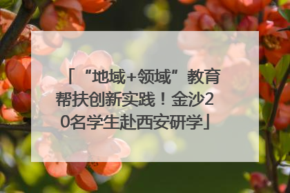“地域+领域”教育帮扶创新实践！金沙20名学生赴西安研学