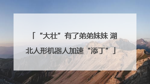 “大壮”有了弟弟妹妹 湖北人形机器人加速“添丁”