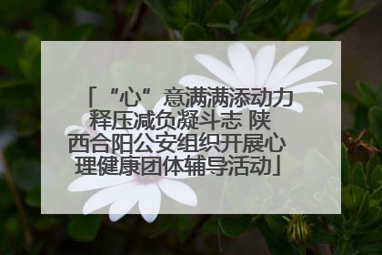 “心”意满满添动力 释压减负凝斗志 陕西合阳公安组织开展心理健康团体辅导活动