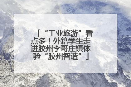 “工业旅游”看点多！外籍学生走进胶州李哥庄镇体验“胶州智造”
