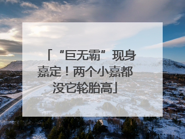 “巨无霸”现身嘉定！两个小嘉都没它轮胎高