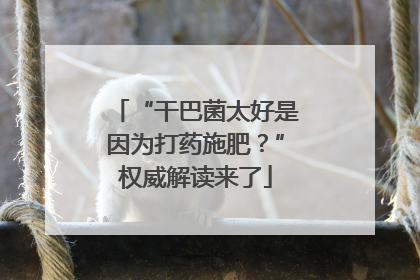 “干巴菌太好是因为打药施肥？”权威解读来了