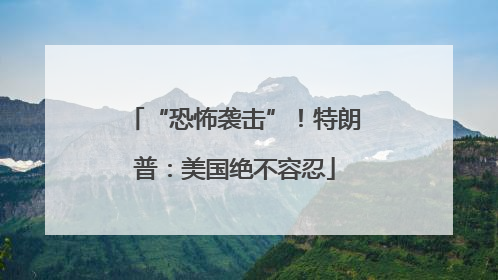 “恐怖袭击”！特朗普：美国绝不容忍