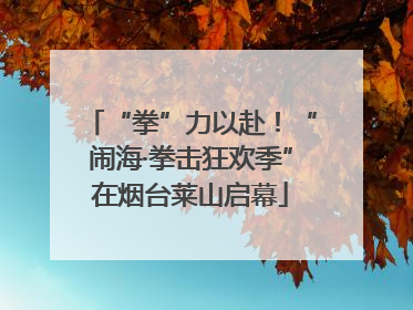 “拳”力以赴！“闹海·拳击狂欢季”在烟台莱山启幕