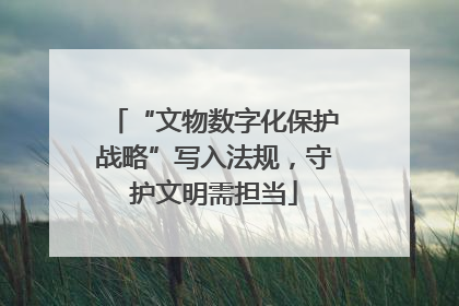“文物数字化保护战略”写入法规，守护文明需担当
