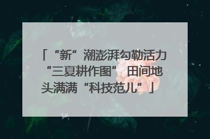 “新”潮澎湃勾勒活力“三夏耕作图” 田间地头满满“科技范儿”