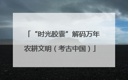“时光胶囊”解码万年农耕文明（考古中国）