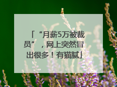 “月薪5万被裁员”，网上突然冒出很多！有猫腻