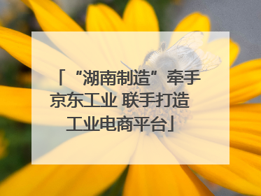 “湖南制造”牵手京东工业 联手打造工业电商平台