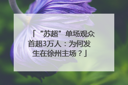 “苏超”单场观众首超3万人：为何发生在徐州主场？