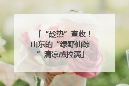 “趁热”查收！山东的“绿野仙踪”清凉感拉满