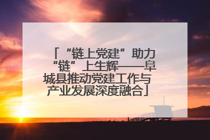 “链上党建”助力“链”上生辉——阜城县推动党建工作与产业发展深度融合