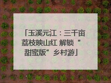 玉溪元江：三千亩荔枝映山红 解锁“甜蜜版”乡村游