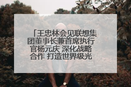 王忠林会见联想集团董事长兼首席执行官杨元庆 深化战略合作 打造世界级光电子信息产业集群