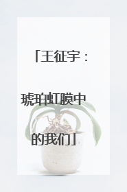 王征宇：琥珀虹膜中的我们