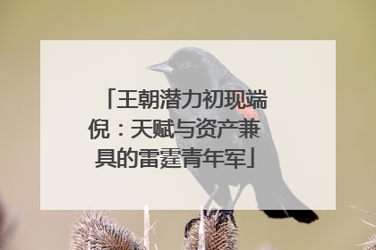 王朝潜力初现端倪：天赋与资产兼具的雷霆青年军
