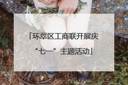 环翠区工商联开展庆“七一”主题活动