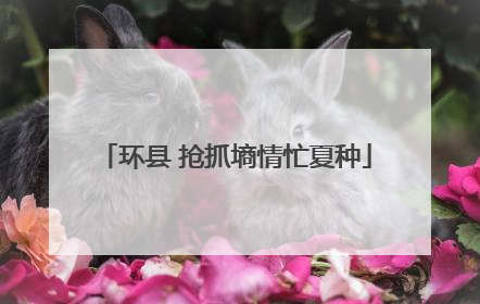 环县 抢抓墒情忙夏种