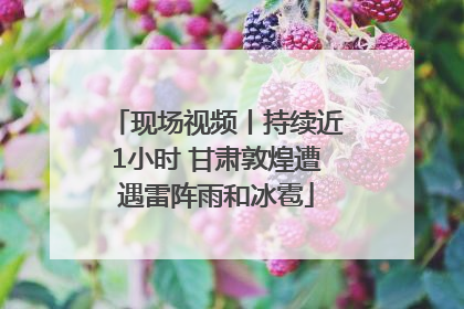 现场视频丨持续近1小时 甘肃敦煌遭遇雷阵雨和冰雹