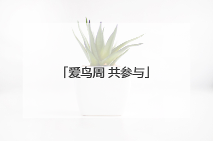 爱鸟周 共参与