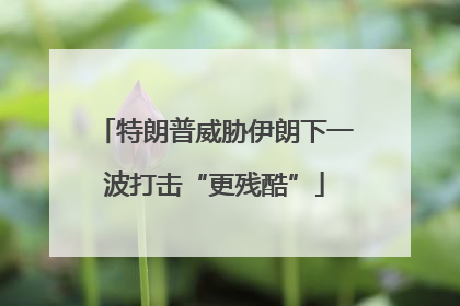 特朗普威胁伊朗下一波打击“更残酷”